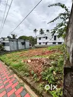 Cheruvally,pothencode