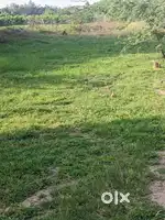 தப்புலாம்புலியூர் மெயின் மாரியம்மன் கோவில் அருகில் இடம்
