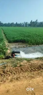 Agriculture Land
