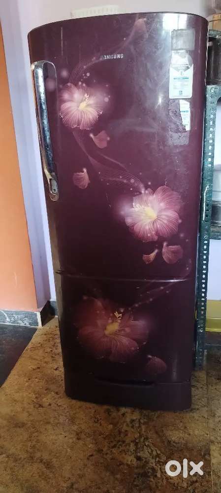 Fridge sales