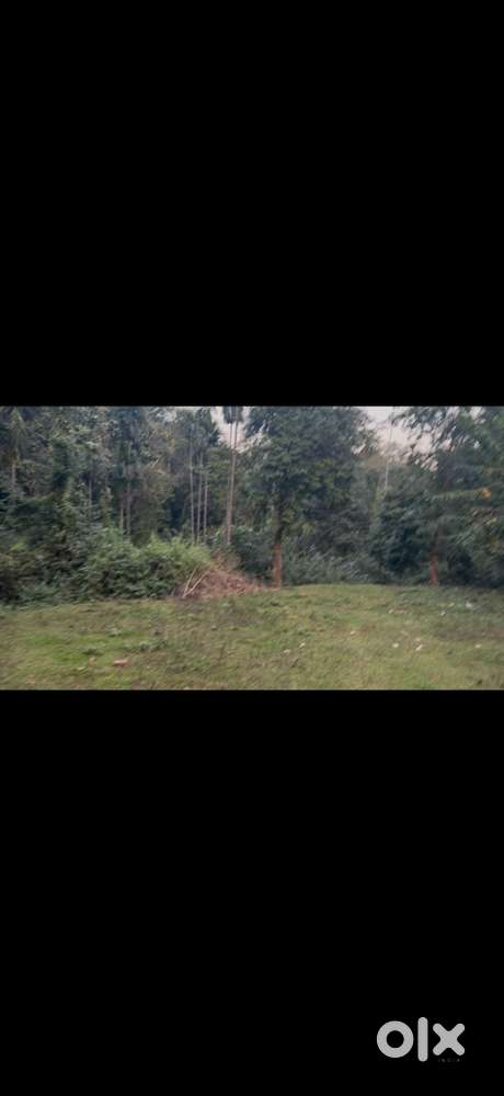 Tribal Belt Kheraj Myadi Patta Land For Sale