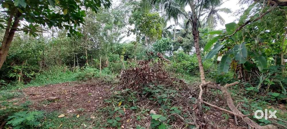 10 cents land for sale in grama chavadi konaje