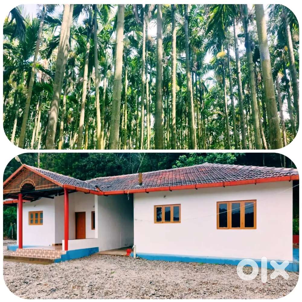 13 ACKRS LAND FOR SALE