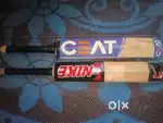 Cricket bat