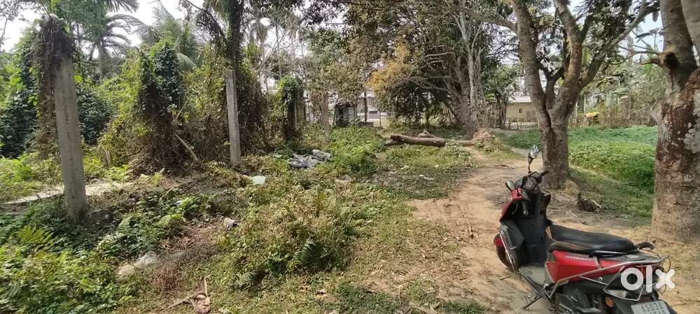 Urgent sell 2 kotha 11 lucha land at atolia gaon