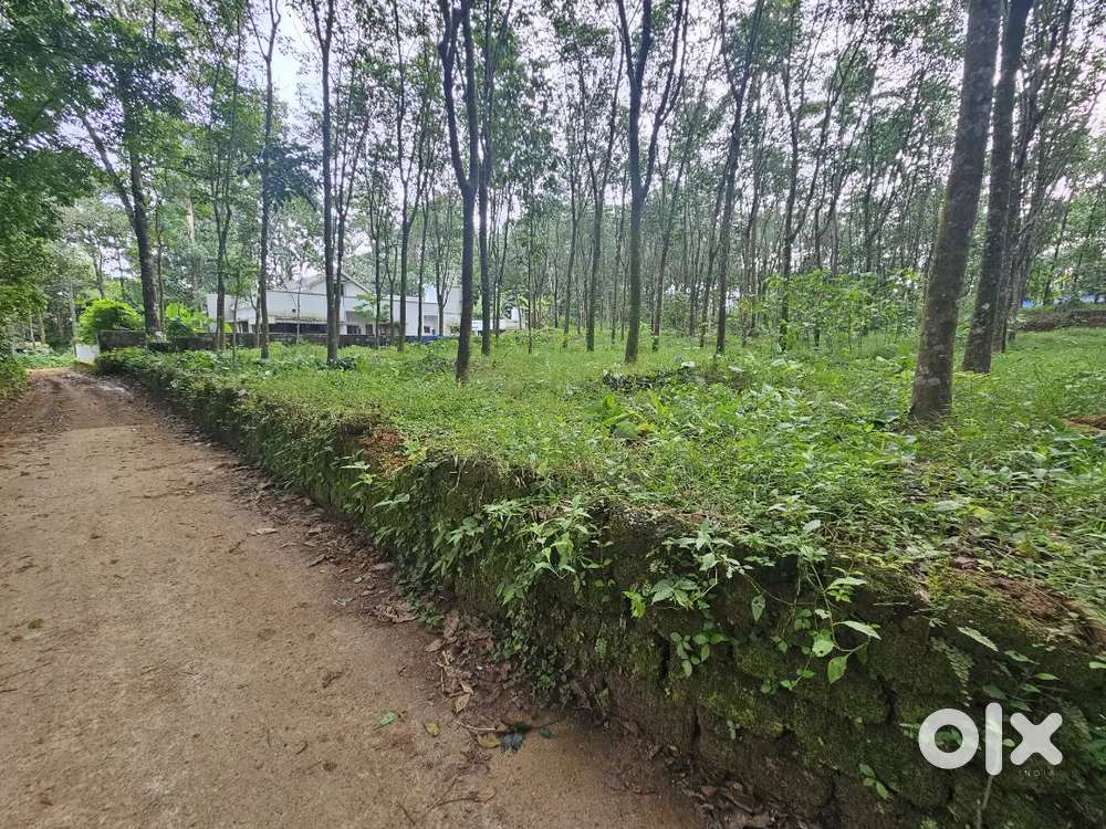 20 Cent House Plot at Kothamangalam