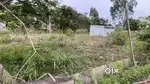land for sale with unfurnished house.