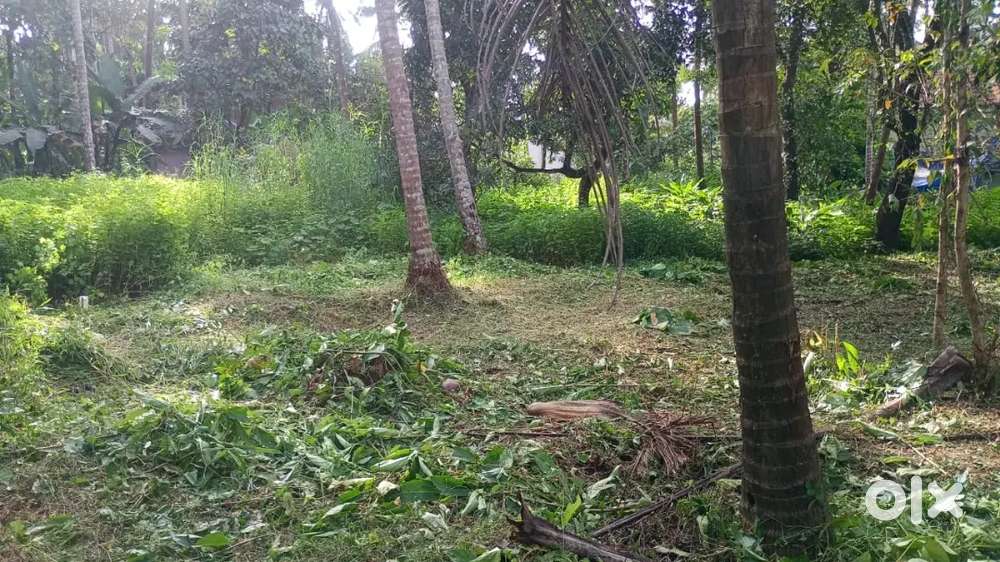 PLOT FOR SALE IN KADIRUR