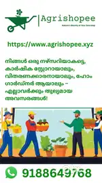 അഗ്രിഷോപ്പി ക്ലാസിഫൈഡുകളിൽ സൗജന്യ പരസ്യങ്ങൾ പോസ്റ്റ് ചെയ്യാം!