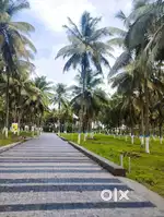 Farmland  near othakallmandapam for sale