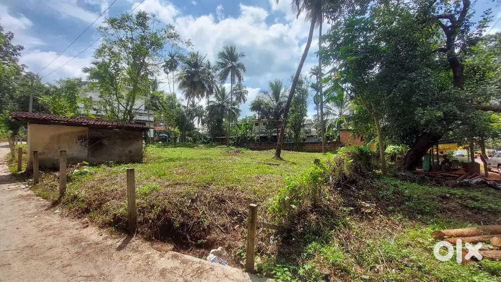 Main Roadside 18 Cent Plot  – Karakkunnu, Manjeri (Price Negotiable)