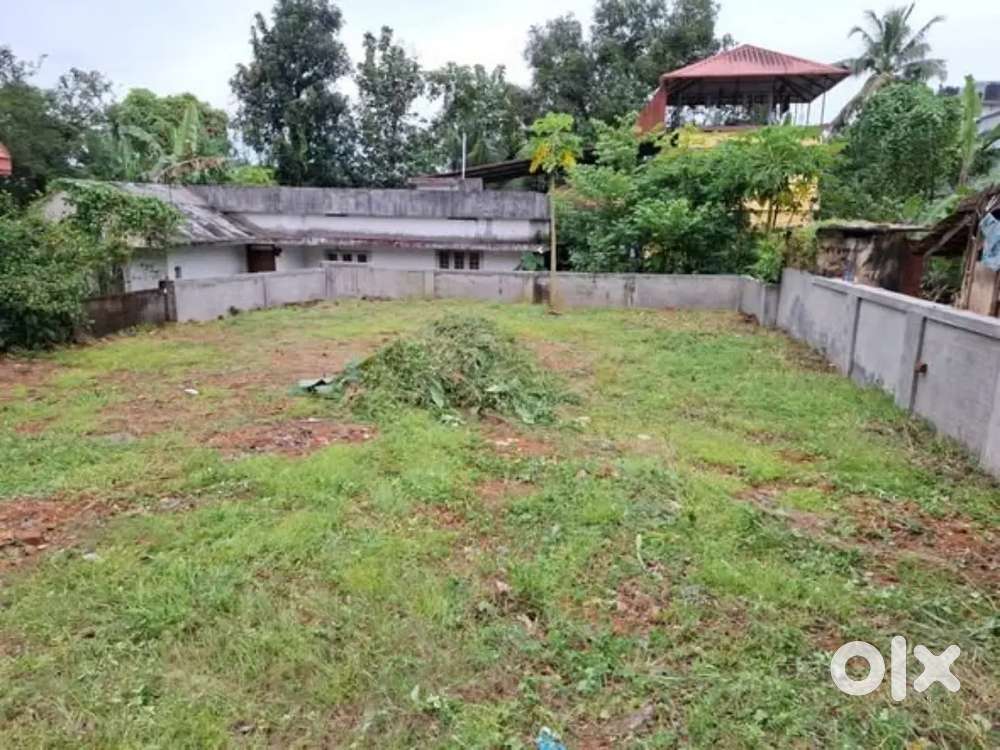 Kalamassery near Cusat 16cent commercial cum residential land for sale