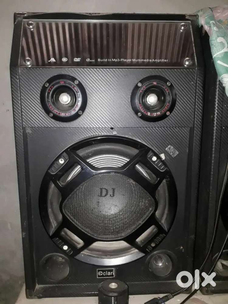 Clearion DJ Speaker