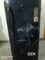L.G best fridge