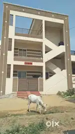 House for rent