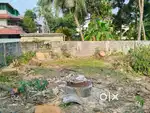 Commercial cum residential land at maradu