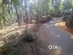 തേർത്തലി ടൗണിൽ നിന്ന് 500 മീറ്റർ അകലെ 1 ഏക്കർ സ്ഥലം വിൽപ്പനയ്ക്ക്.