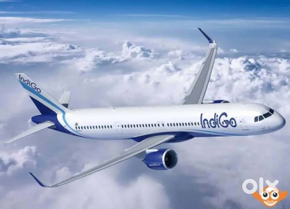 Male/Female candidates hiring for Airport ground staff job in Indigo