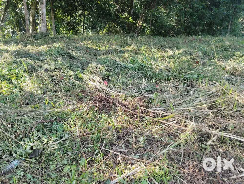 Jaka ban dei ha umsning Nongthymmai main road surok shnong
