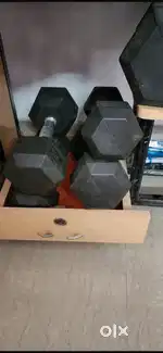 Gym equipment