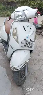 9year old good canisan