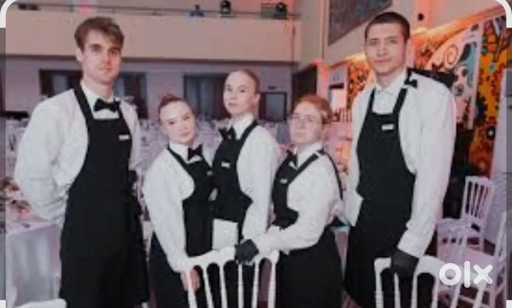 Professional VIP waiter