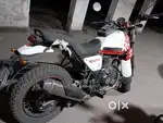 Himalayan Scrab