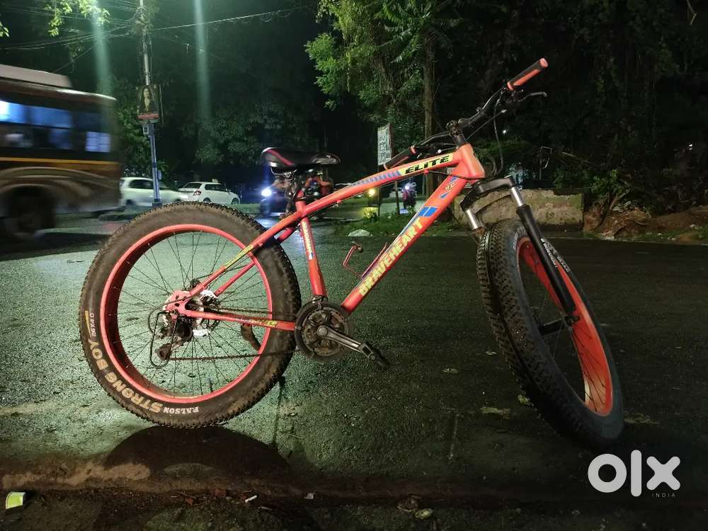 7 months old only Gear is not working