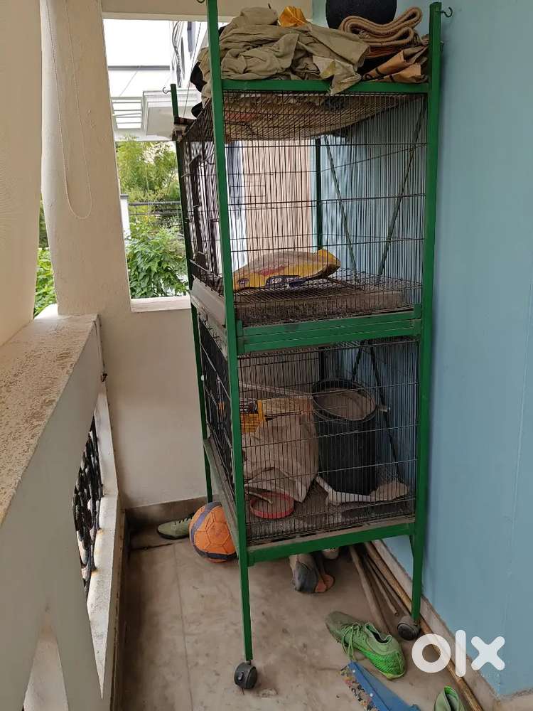 Birds cage with two compartment. Ht 5.5ft two compartment with wheels