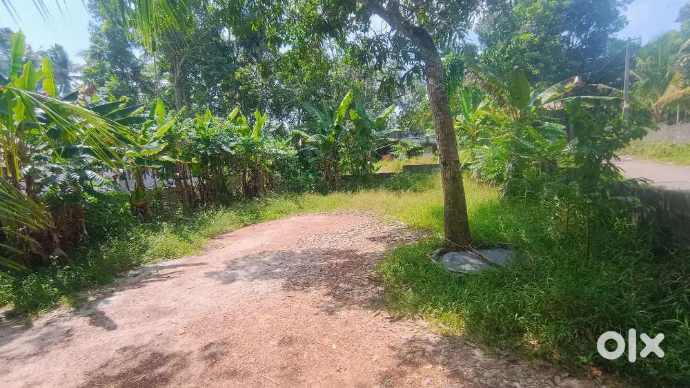 Urgent sale -കുന്നത്തുകാൽ ജംഗ്ഷന് സമീപം 6 സെന്റ് സ്ഥലം വിൽപ്പനയ്ക്ക്