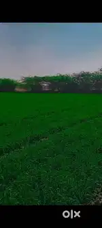 LAND FOR AGRICULTURE