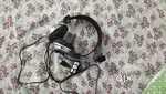 Punta Head phone voice cancelling mute botton