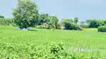 Land for sell