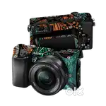 Sony @6100 4k mirrorless camera