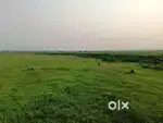 Land in Ghorapir, Lake Garden