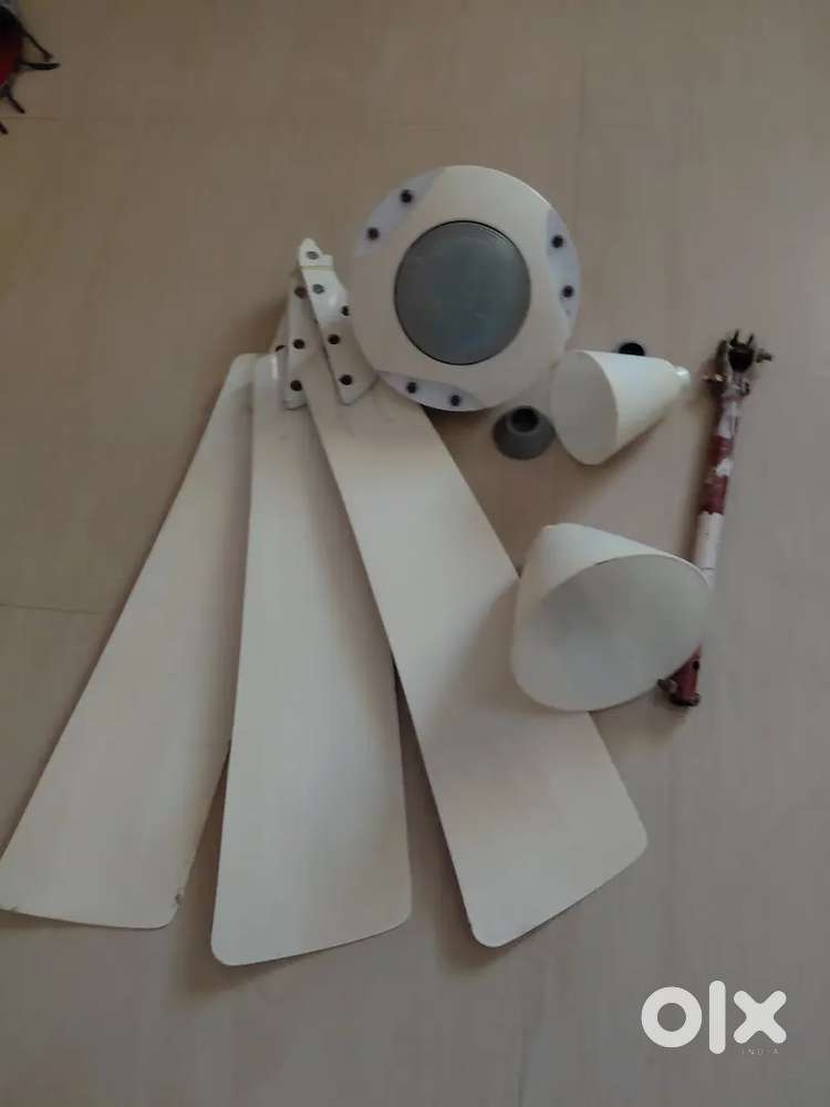 Ceiling Fan