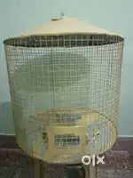 New cage for all types of Parrots, Birds (18 इंच चौड़ाई)