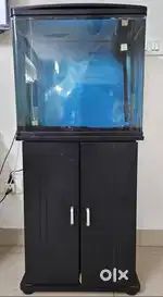Imported 75 Litres tank with Cabinet