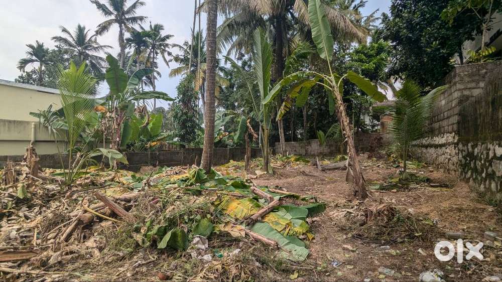 6.850 Cents of Residential Land for sale near Moonamoodu Jn.