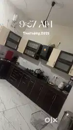 House for rent in tdi sector 117