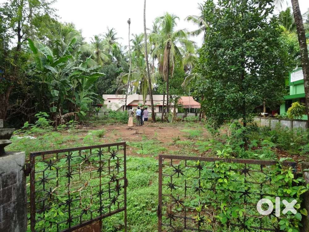 17 cent land Thrissur kuttumukka villadom