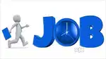 Need java full stack developer fresher