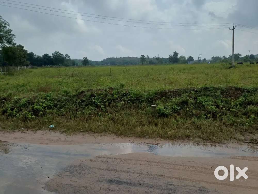 3 LAKS S. FT. Indu NA NOC tital clear land avl in vadodara to Halol