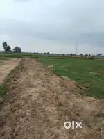Residential plot