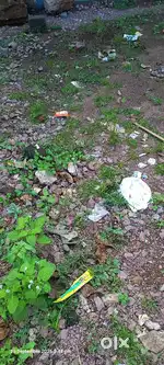 Plot for sale