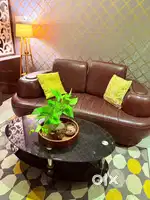 Two seater sofa- Pure leather