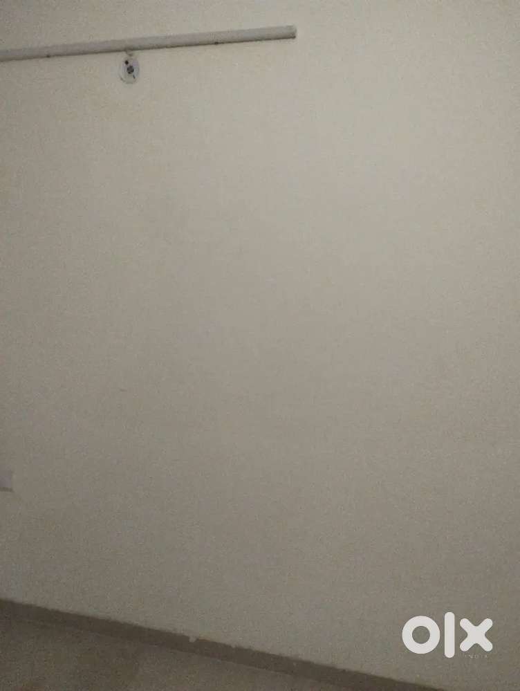 AC Room for Working females  in Gomtinagar