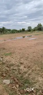Paranji on road