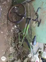Streethawk kides cycle in green