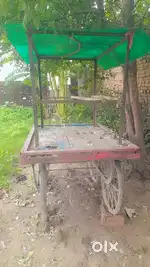 Sirf tyar tube khrab hai ek patla thoda gala hai